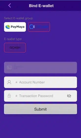 Step 3: Fill in the e-wallet account number and enter the transaction password consisting of 6-16 alphabetic characters.